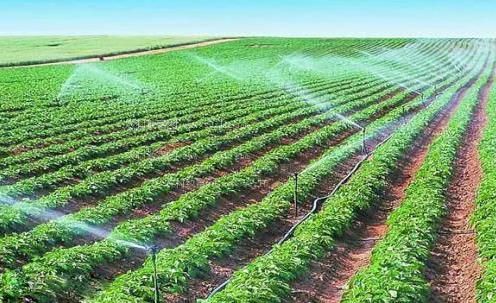 抠妣农田高 效节水灌溉